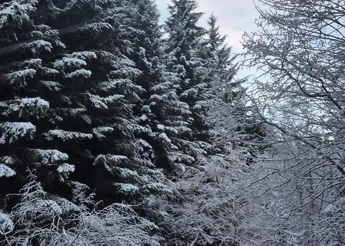 Casa Rita * Lizzano In Belvedere